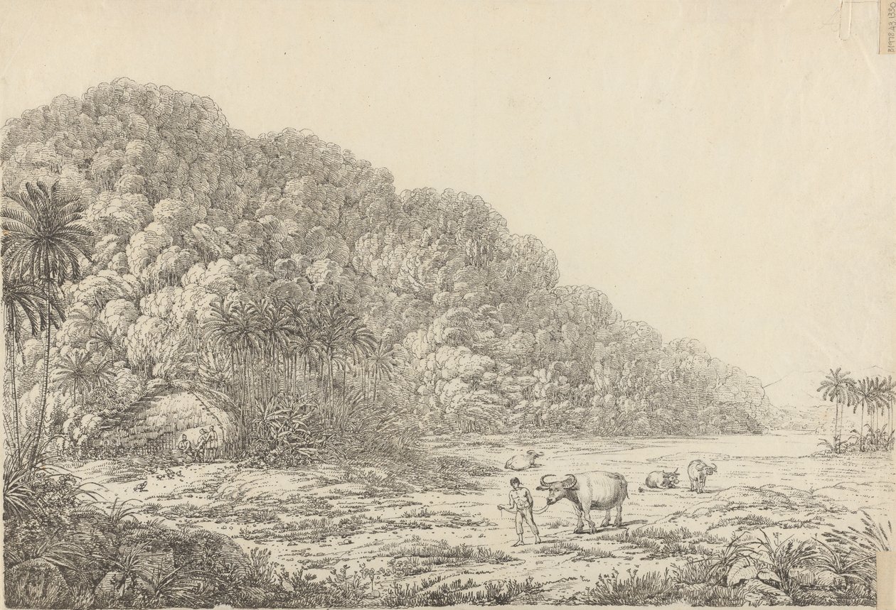 Vista en la isla de Pulo Condore de John Webber