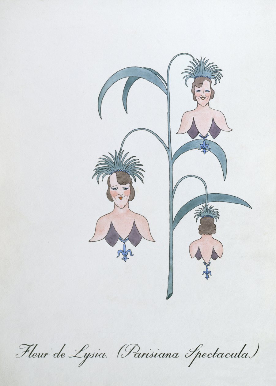 Fleur de Lysia (Parisiana Spectacula.), ilustración de 