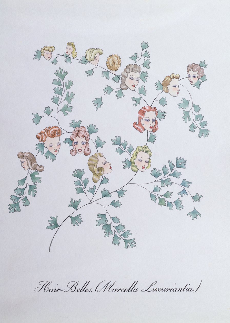 Hair-Belles (Marcella Luxuriantia), ilustración de "The Bogus Book of Botany" de John Weir de John Weir