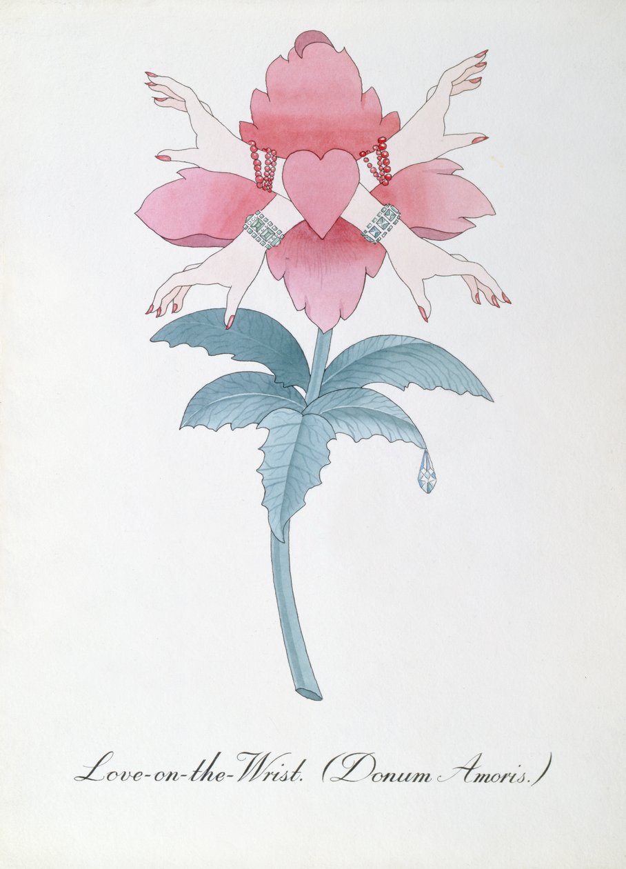 Ilustración del amor en la muñeca (Donum Amoris.) de "The Bogus Book of Botany" de John Weir de John Weir