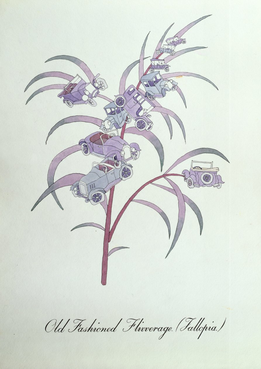 Flivaje antiguo (Fallopia.), ilustración de 