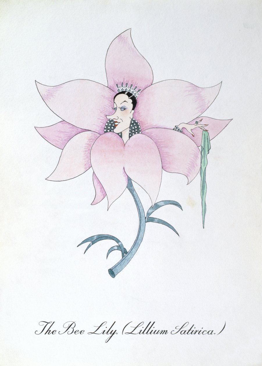 El lirio de las abejas (Lillium Satirica.), ilustración de "The Bogus Book of Botany" de John Weir de John Weir