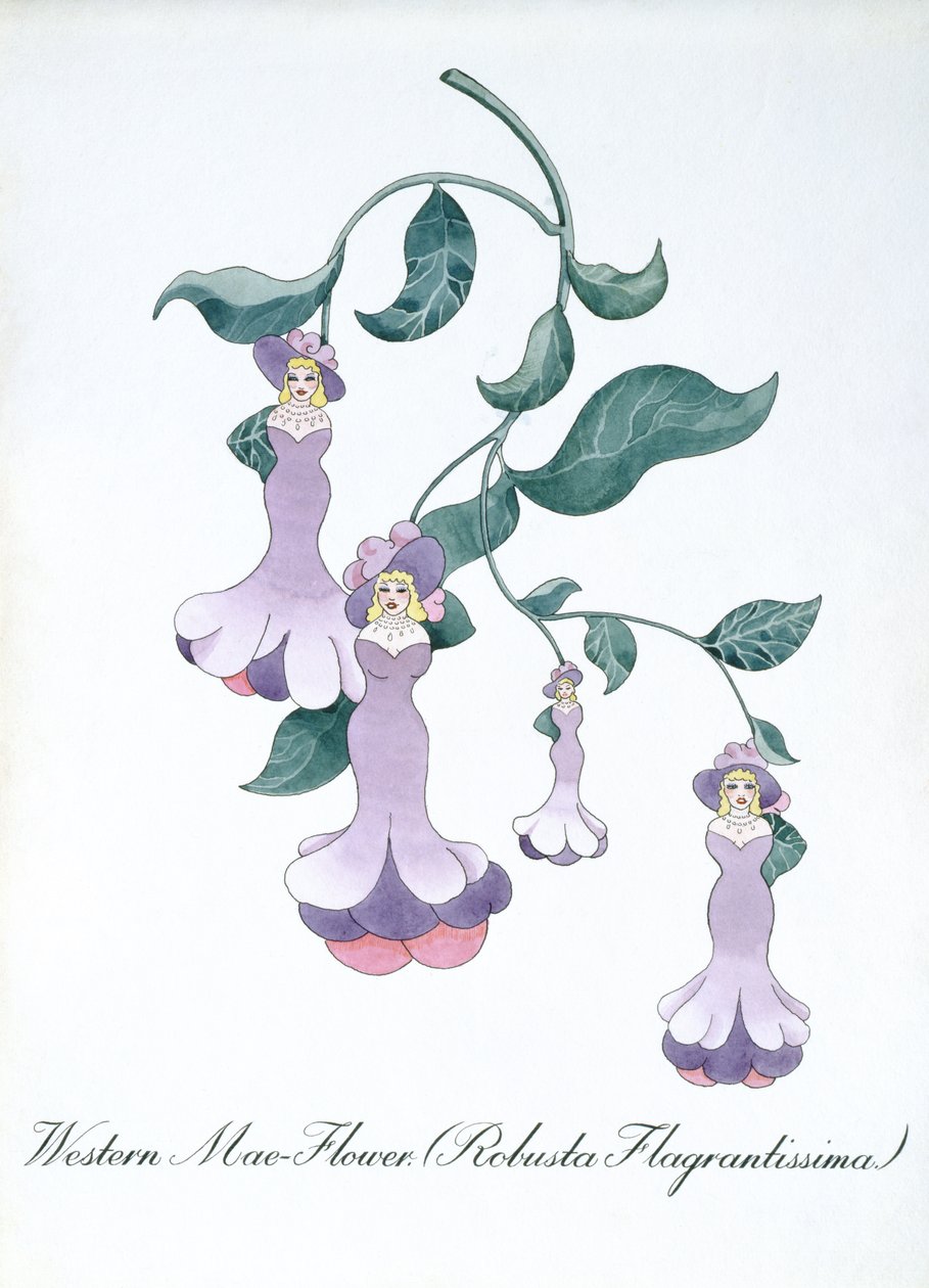 La flor de maíz occidental (Robusta Flagrantissima), ilustración de "The Bogus Book of Botany" de John Weir de John Weir