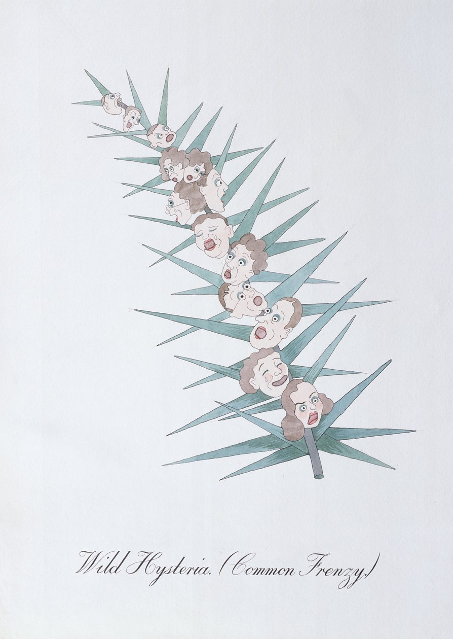Histeria salvaje (Frenesí común.), ilustración de 