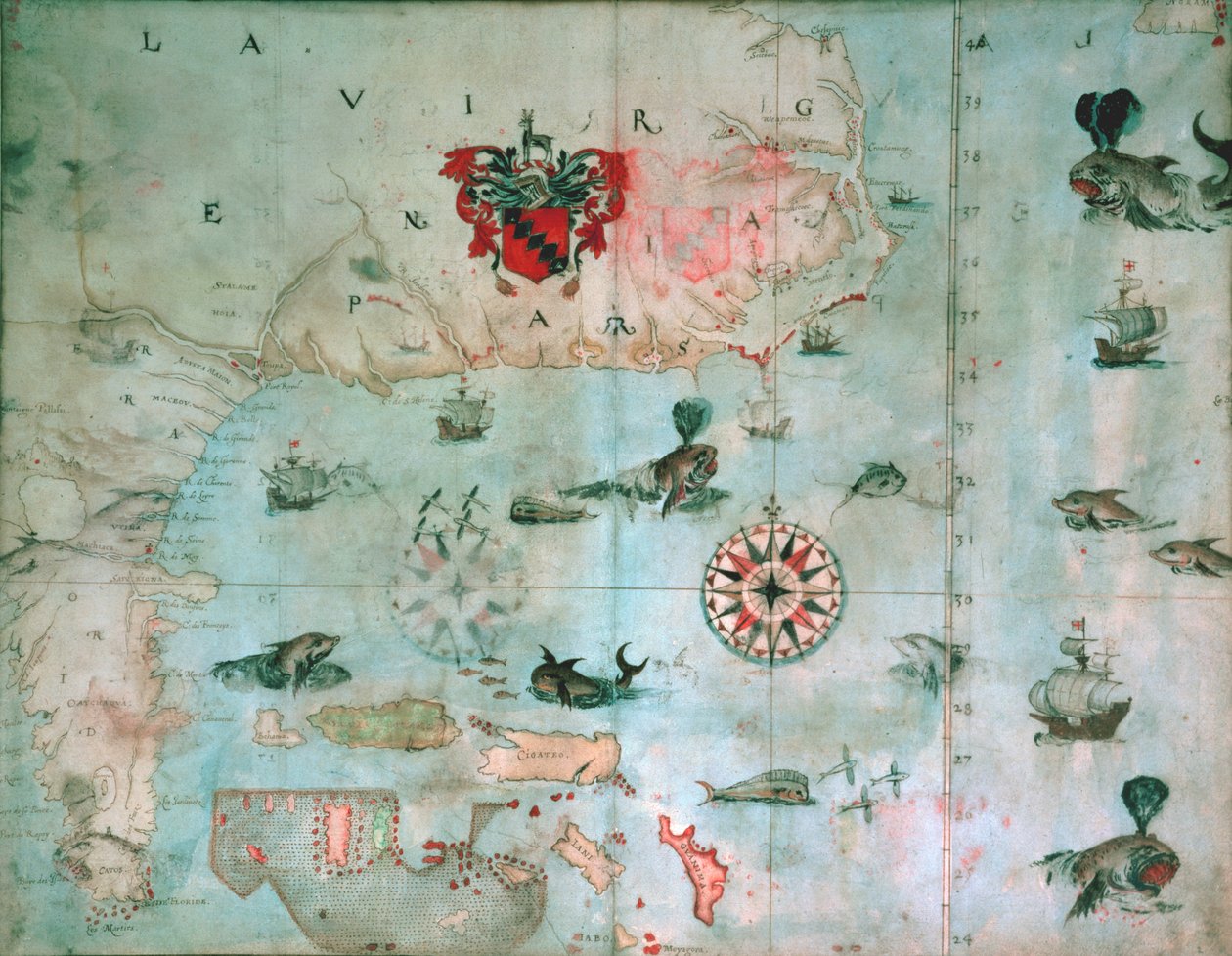 Bahía de Chesapeake, Florida, c.1585-1603 de John White