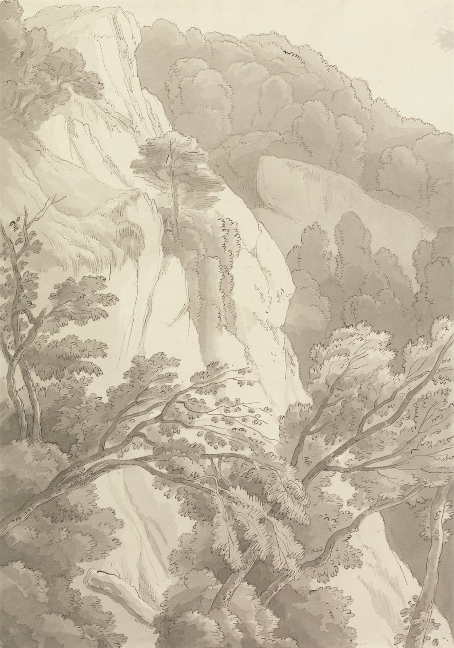 Canonteign de John White Abbott