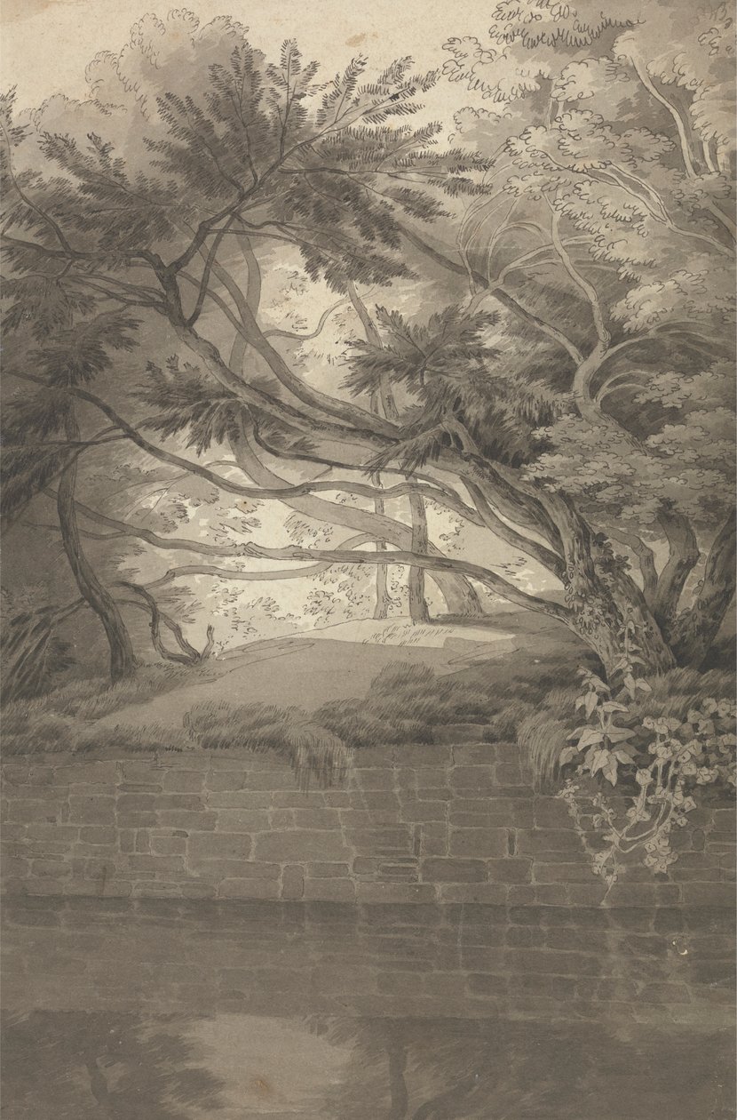 Árboles que sobresalen de un lago de John White Abbott
