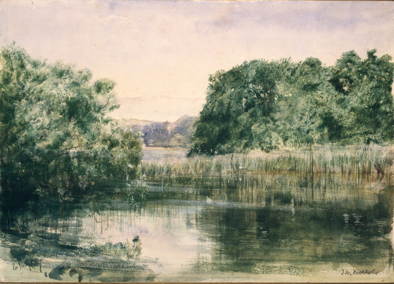 Vista de un Lago con Árboles, 1857 de John William Inchbold