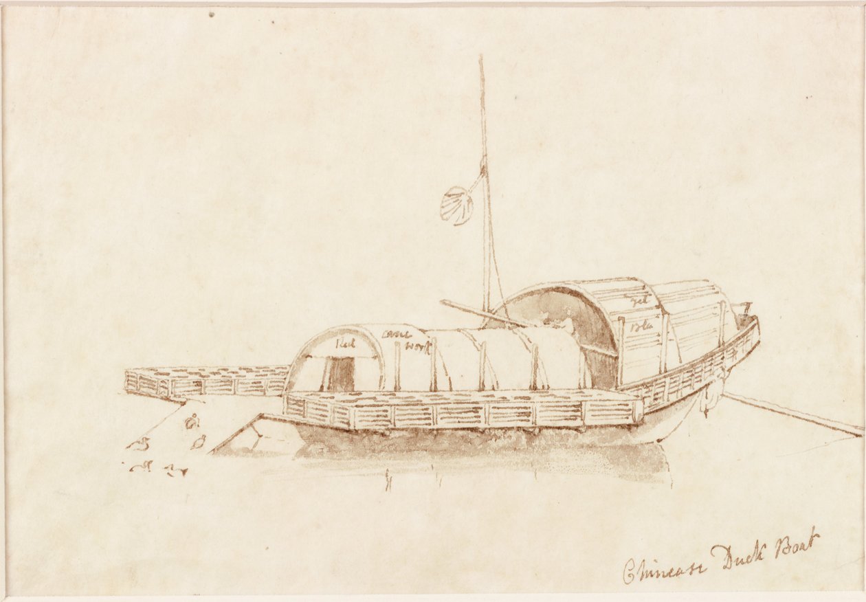 Barco de pato chino de John Wilson Carmichael