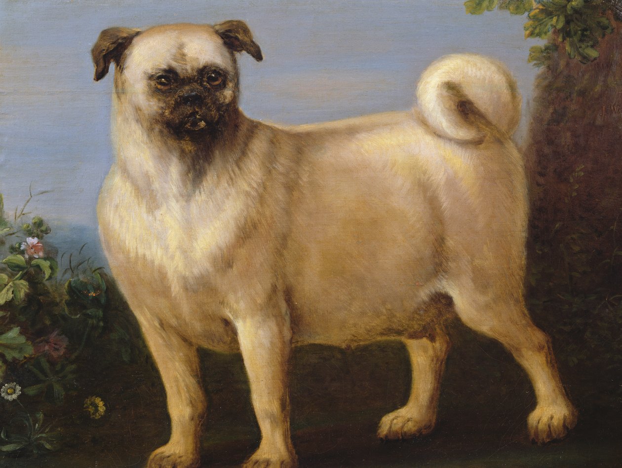Un pug en un paisaje de John Wootton
