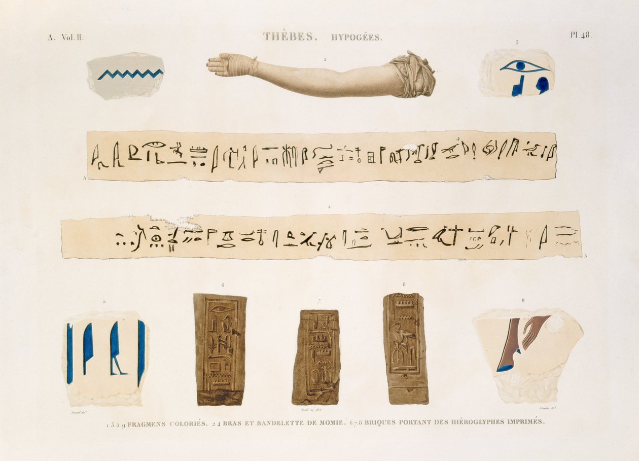 Ilustraciones de jeroglíficos y el brazo de una momia de Hipogeos, Tebas, lámina 48 del Vol II de 