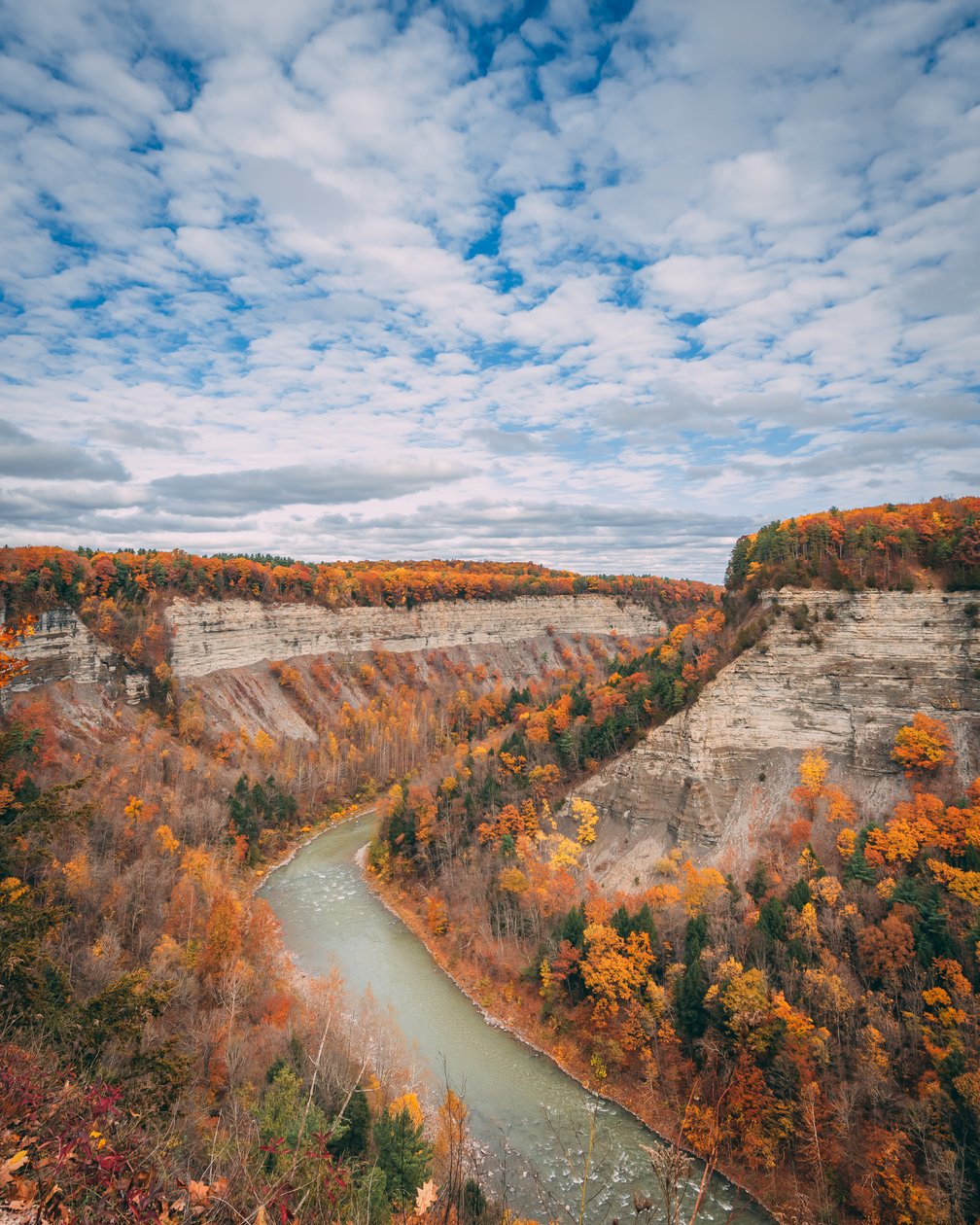 Colores otoñales en el desfiladero del Parque Estatal de Letchworth, en Nueva York, EE.UU. (foto) de Jon Bilous