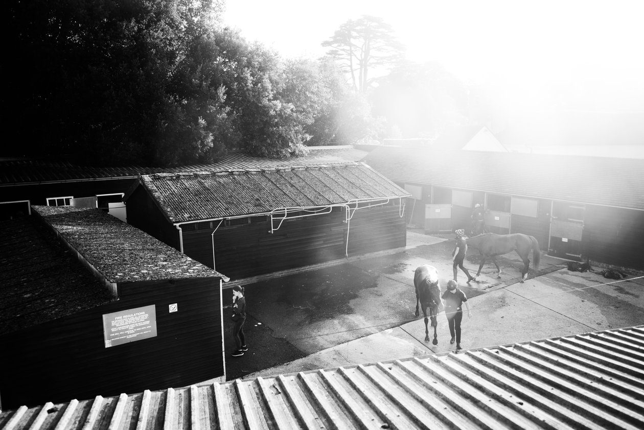The Goodwood Estate en West Sussex, Reino Unido, 2019 (foto) de Jon Nicholson