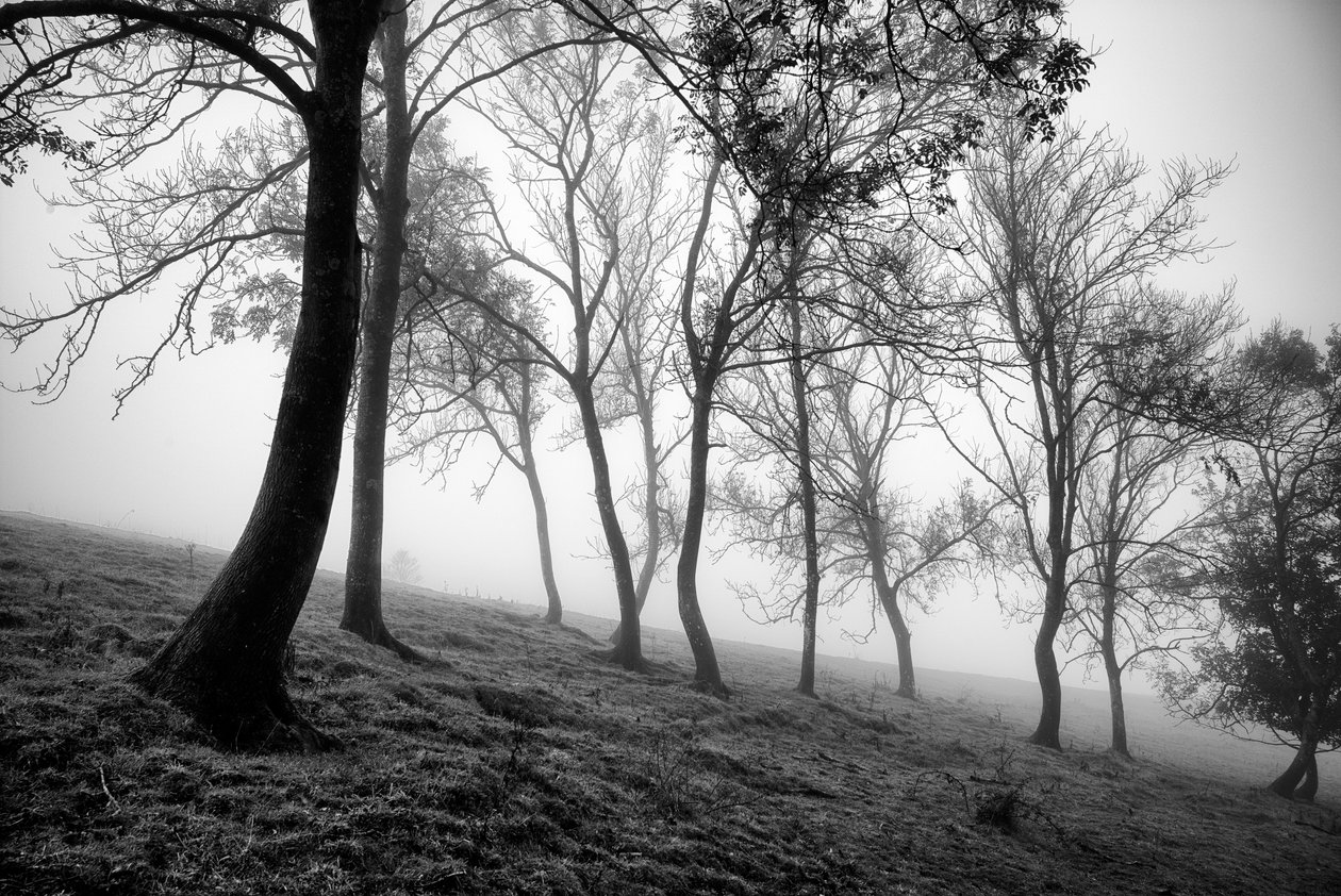  de Jon Nicholson
