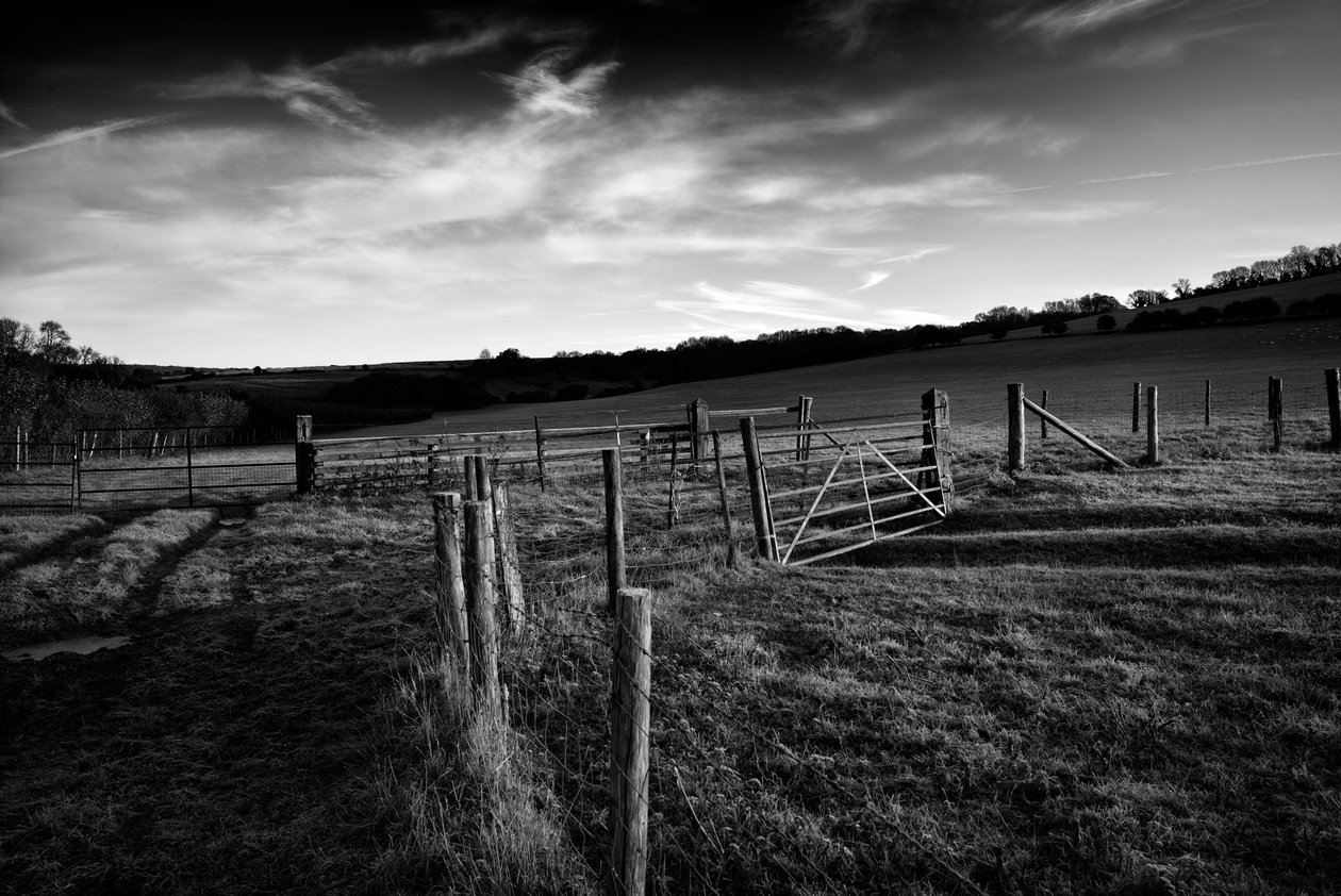  de Jon Nicholson