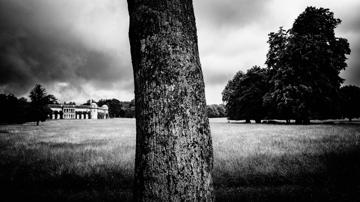 The Goodwood Estate en West Sussex, Reino Unido, 2020 (foto) de Jon Nicholson