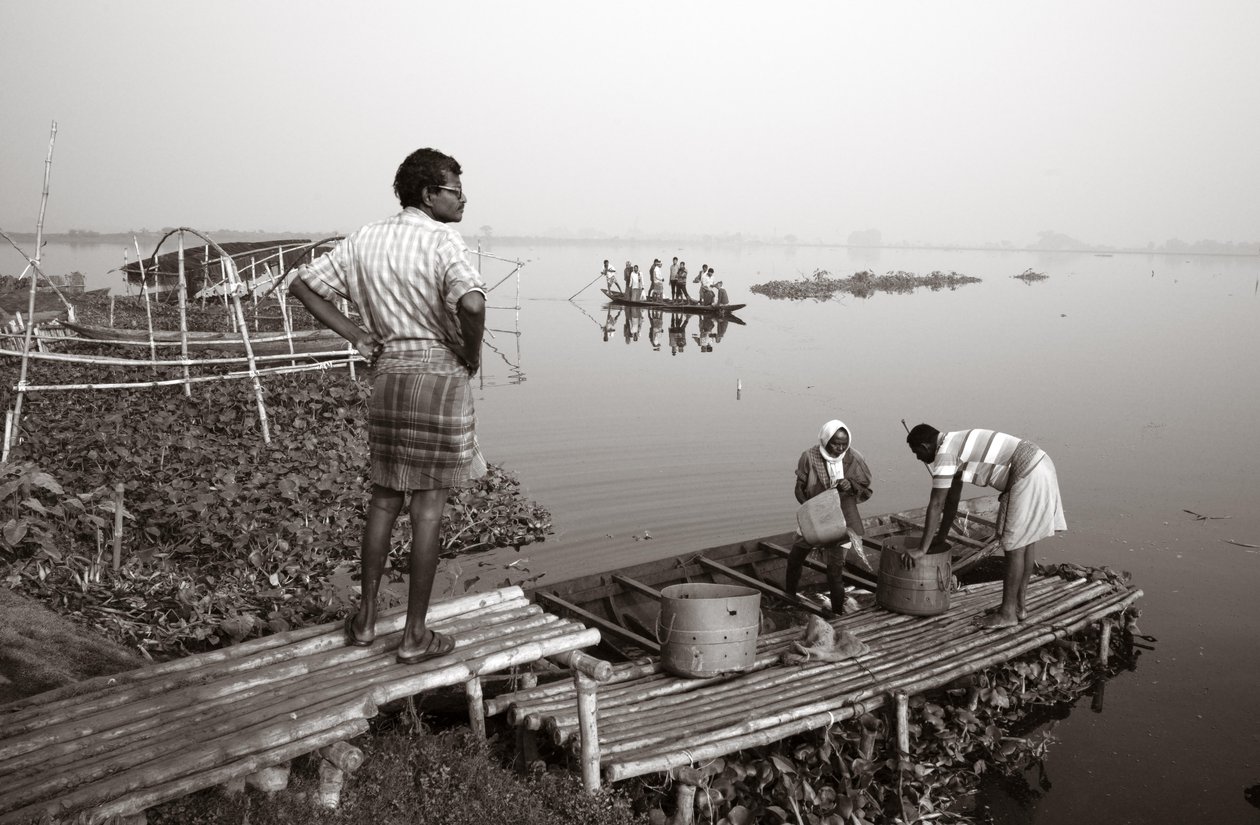 Pesca en humedales en Calcuta, 2016 (foto) de Jon Nicholson