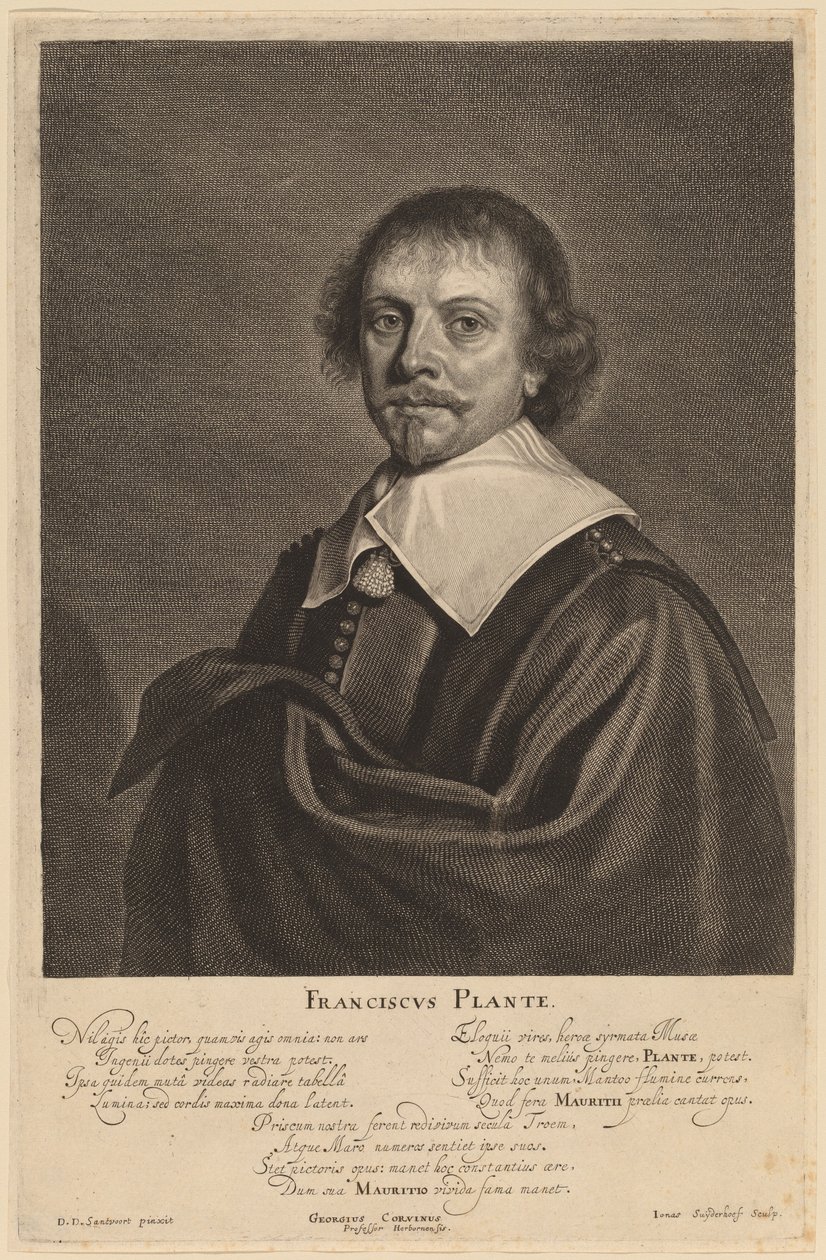 Franciscus Plante de Jonas Suyderhoff after Pieter Dircksz Santvoort