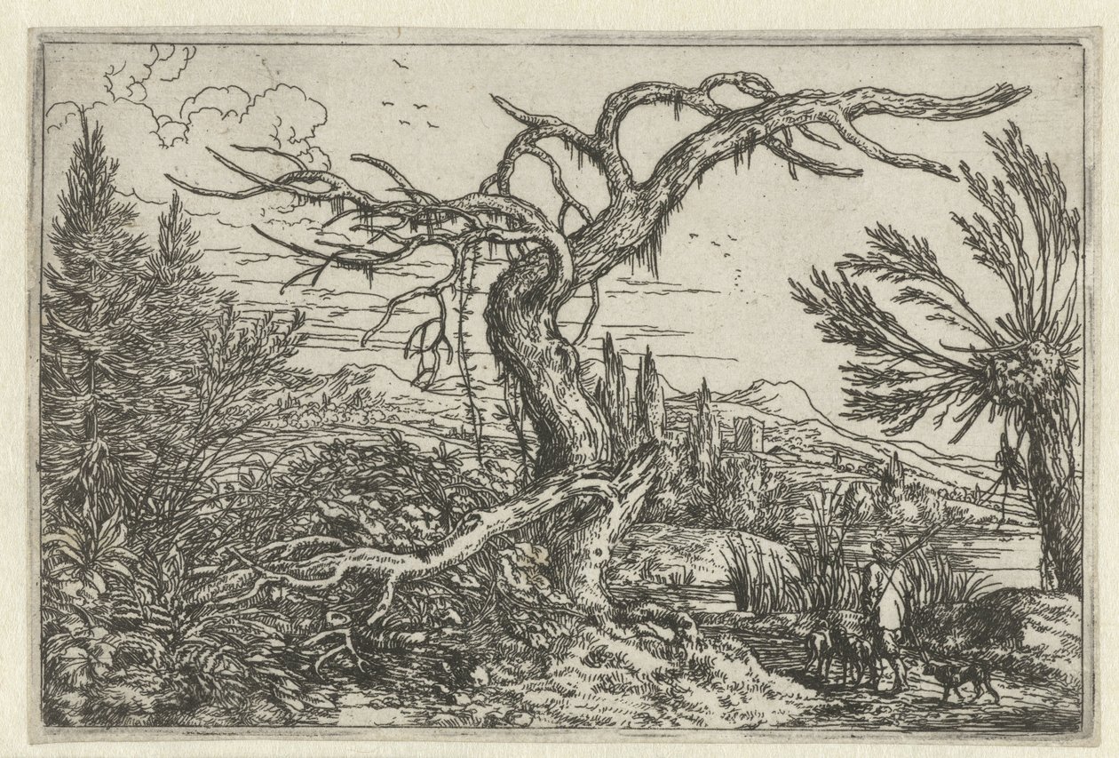 Paisaje con el árbol seco de Jonas Umbach