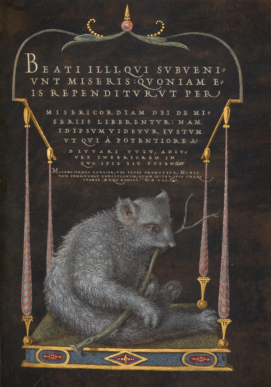 Un perezoso de Joris Hoefnagel