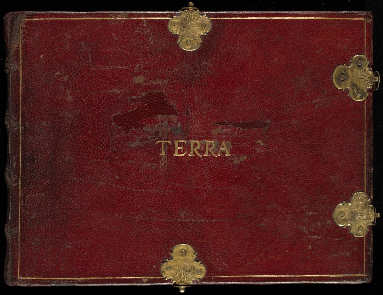 Animalia Qvadrvpedia et Reptilia (Terra), volumen II de Joris Hoefnagel