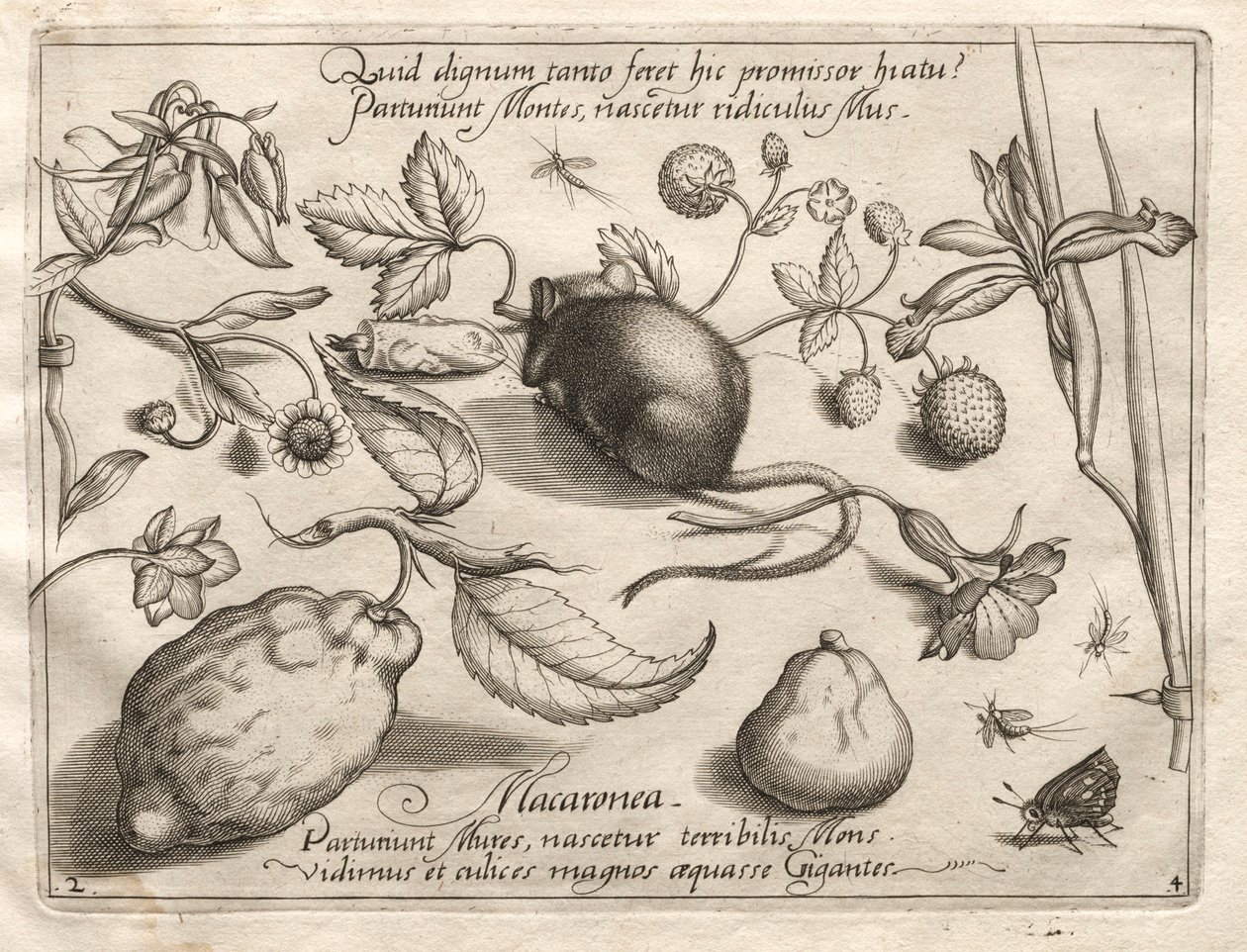 Arquetipos y estudios: Lo que puede surgir en consonancia con una promesa tan cavernosa, 1592 de Joris Hoefnagel