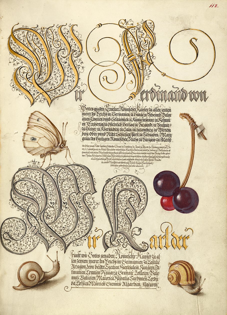 Mariposa, cereza dulce y caracoles terrestres de Joris Hoefnagel