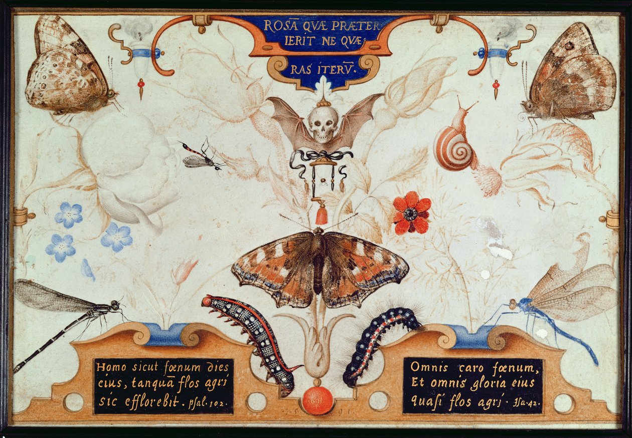 Díptico con flores e insectos, 1591 de Joris Hoefnagel