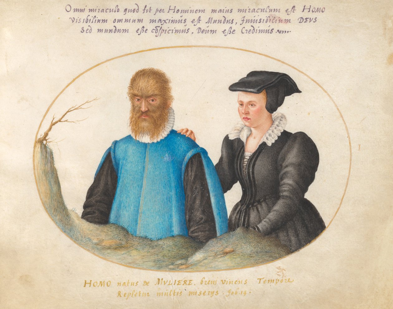 Placa 1: Pedro González (Petrus Gonsalvus) y su esposa, Catherine de Joris Hoefnagel