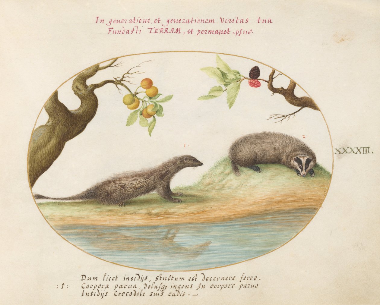 Plato 43: Mangosta y Tejón con Árboles Frutales de Joris Hoefnagel