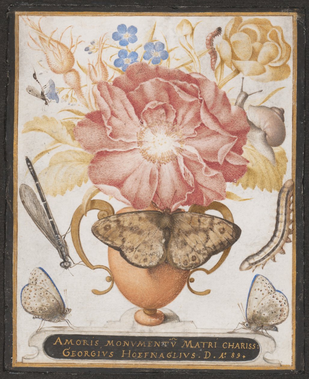 Naturaleza muerta con flores, un caracol e insectos, 1589 de Joris Hoefnagel
