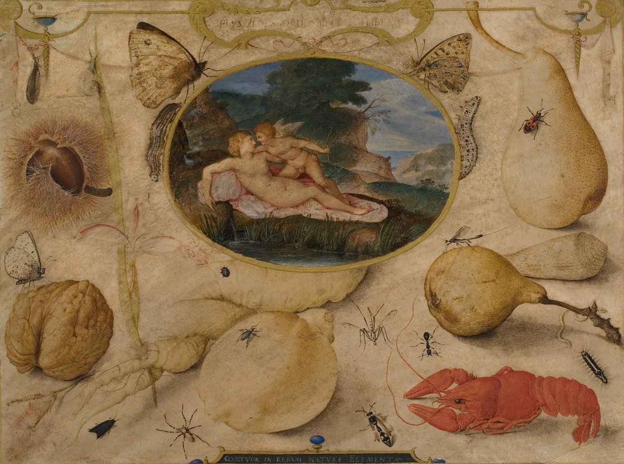 Venus desarmando a Amor en un medallón rodeado de plantas, frutas, insectos y mariscos de Joris Hoefnagel
