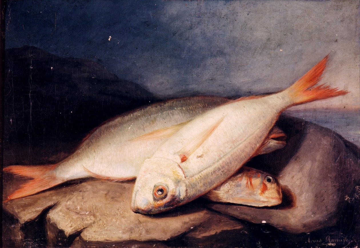 Spanish: Bodegón de peces de José Arias Ramírez