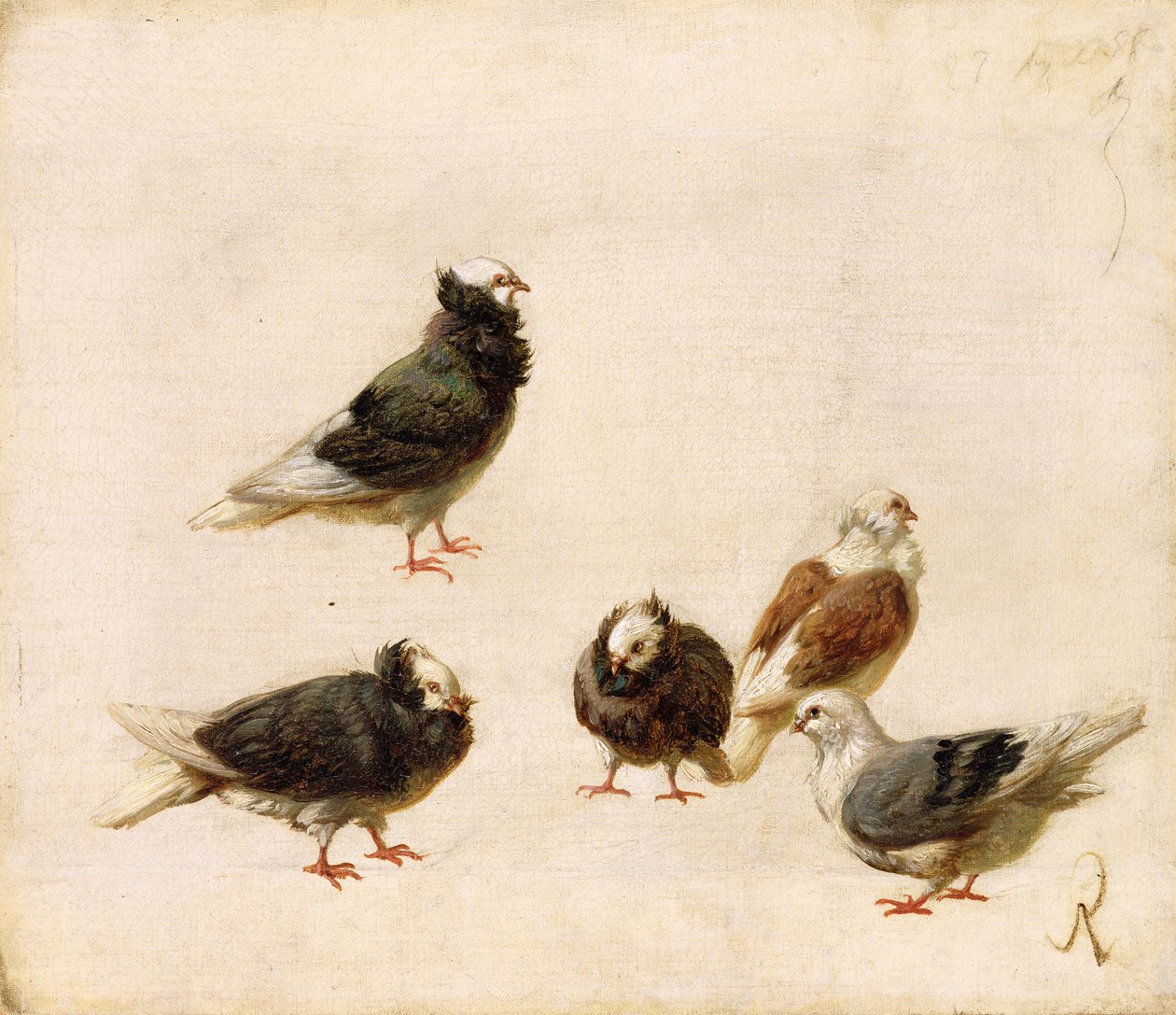 Palomas, 1888 de Jose Ruiz Blasco