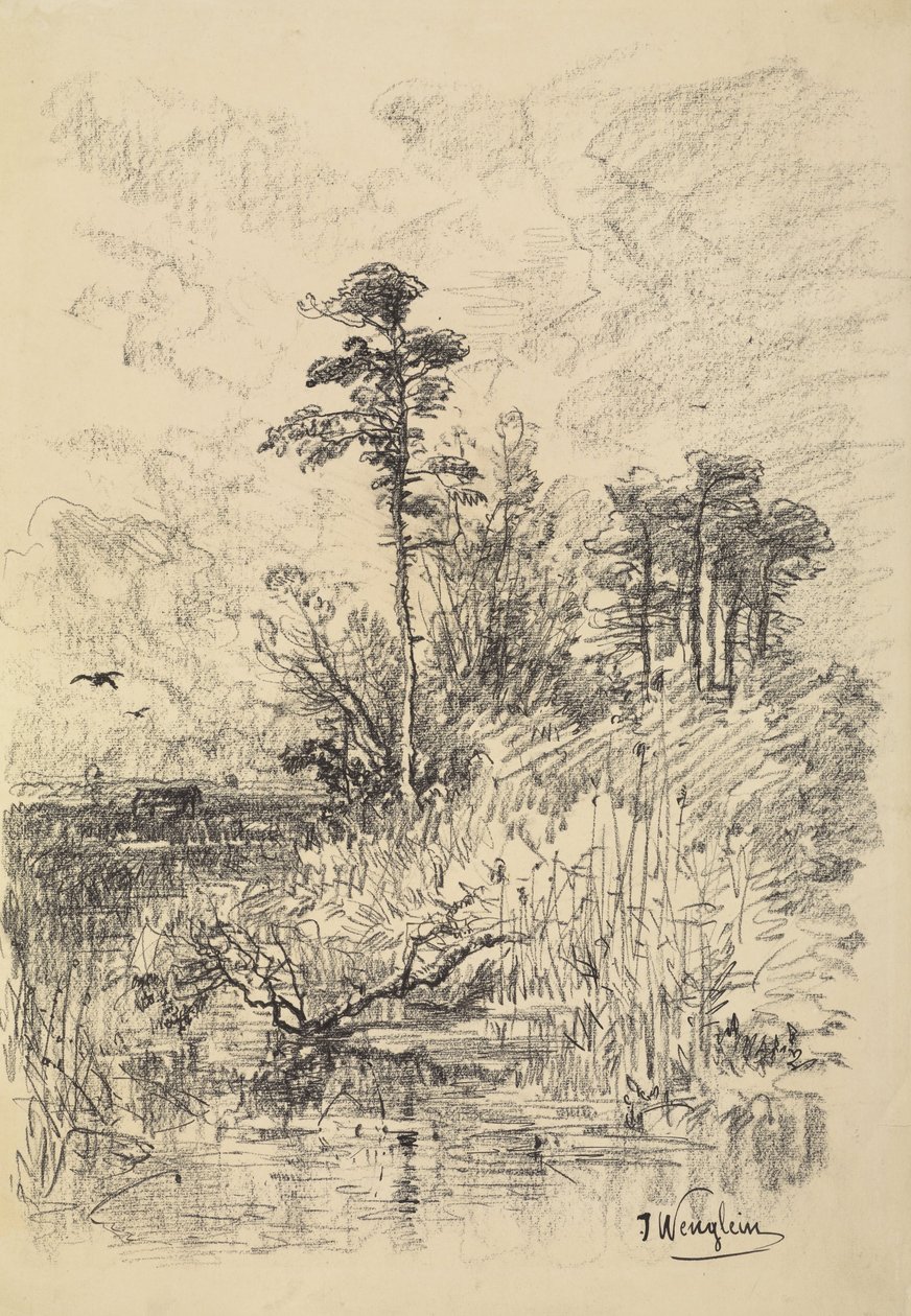 Paisaje fluvial de Josef Wenglein