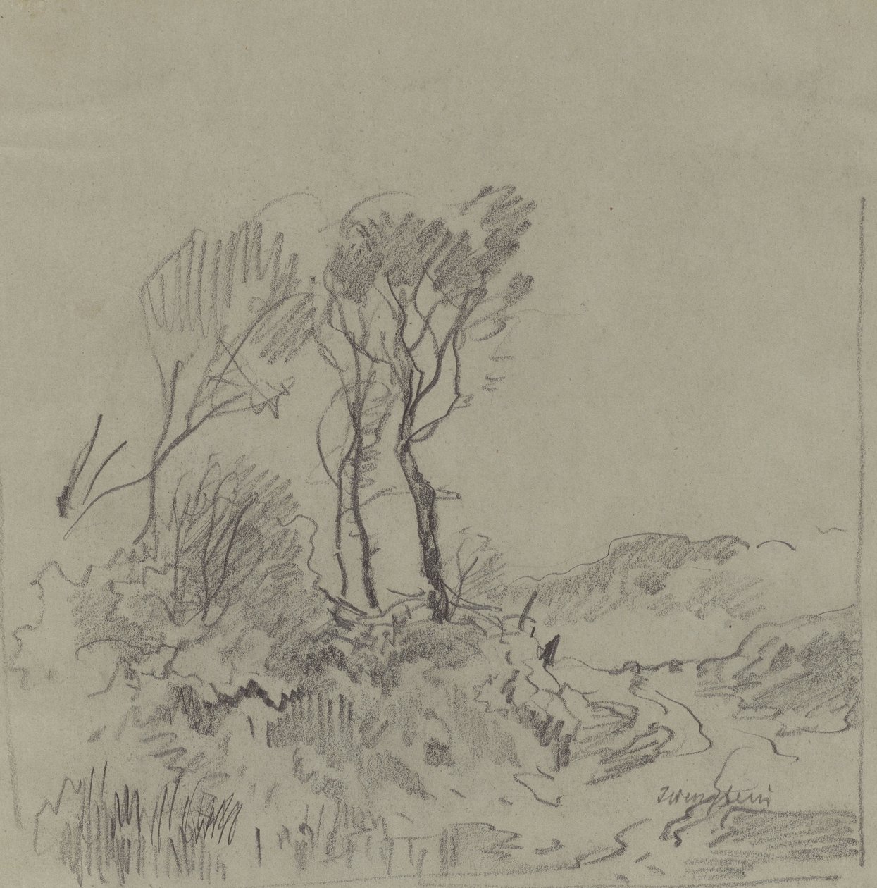 Estudios de árboles de Josef Wenglein
