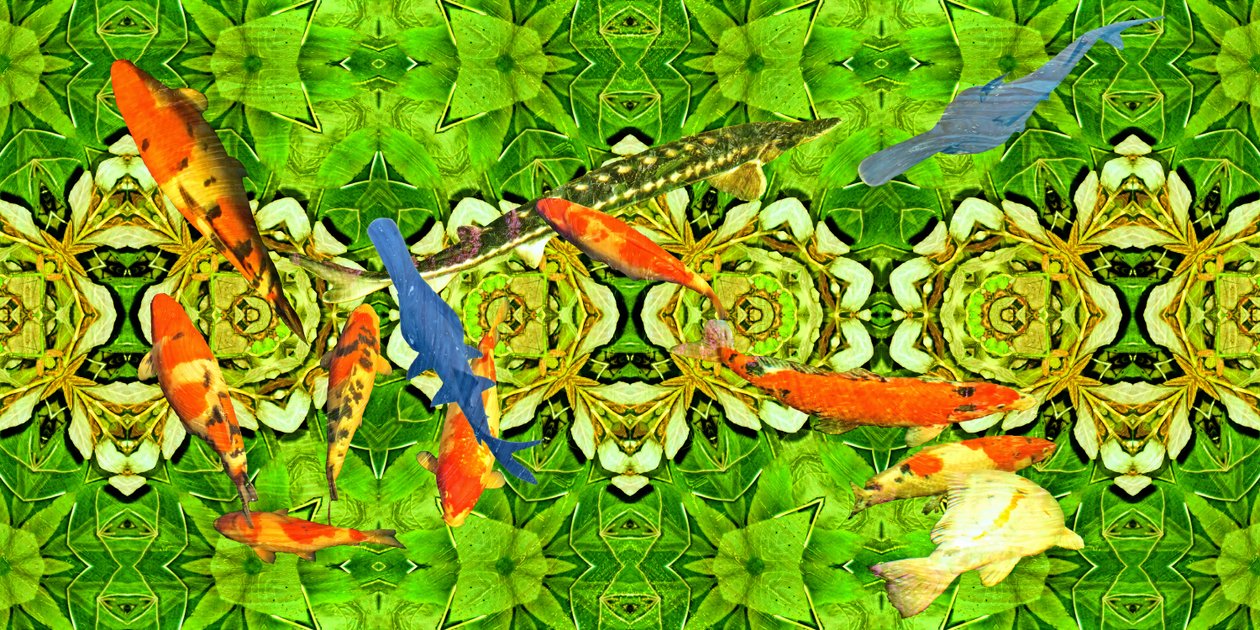 Criaturas: Peces carpa koi bajo el agua jardín 3 de Josef Johann Michel