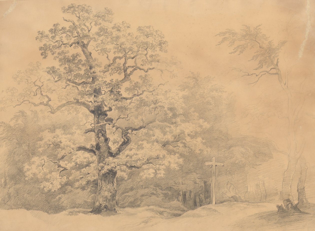 Estudio sobre los árboles de Josef Kriehuber