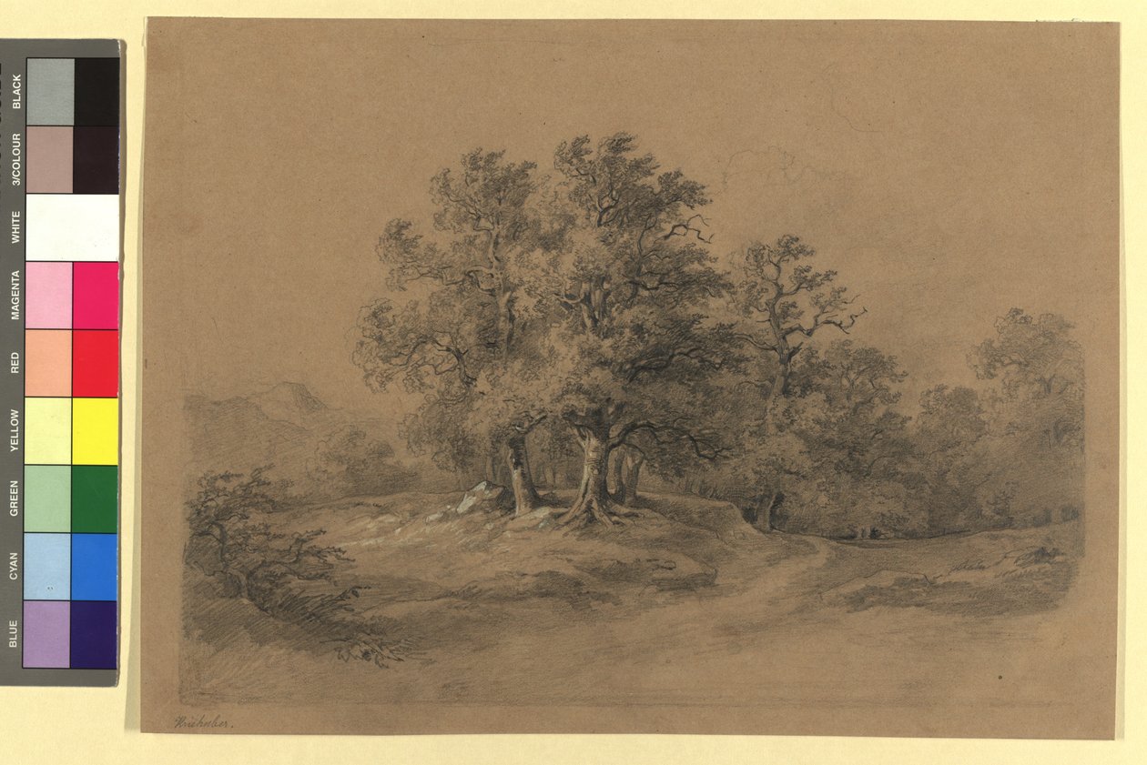 Paisaje forestal de Josef Kriehuber