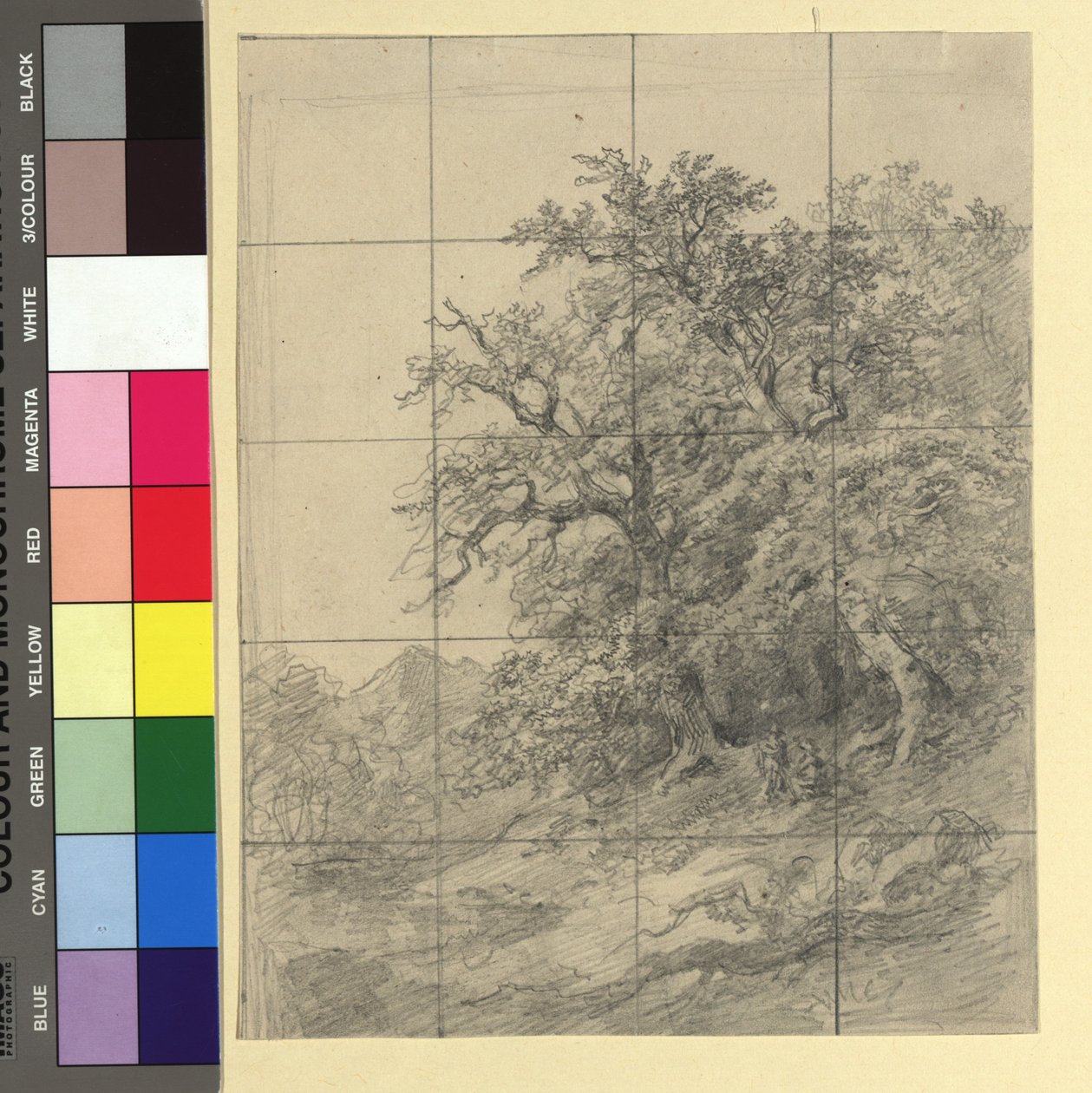 Paisaje forestal con elementos decorativos de Josef Kriehuber
