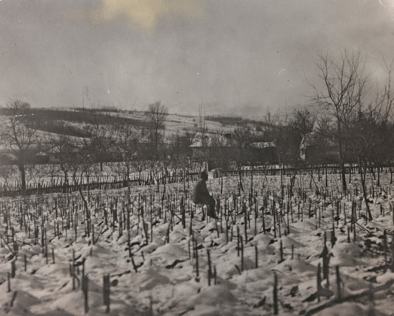 Cementerio militar (foto en b/n) de Josef Zohles