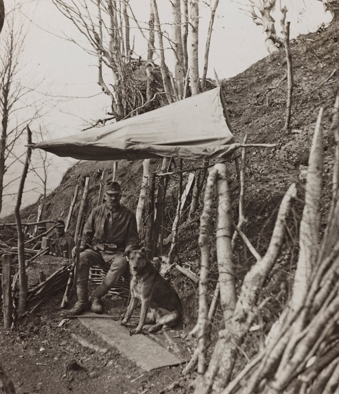 Álbum "Meine weltkriegs - Erinnerungen South-West Front (Carintia, Italia, Tirol del Sur) 31/03/1915-12/11/1918 - Josef Zohles Wien": perro militar bajo una tienda de Josef Zohles