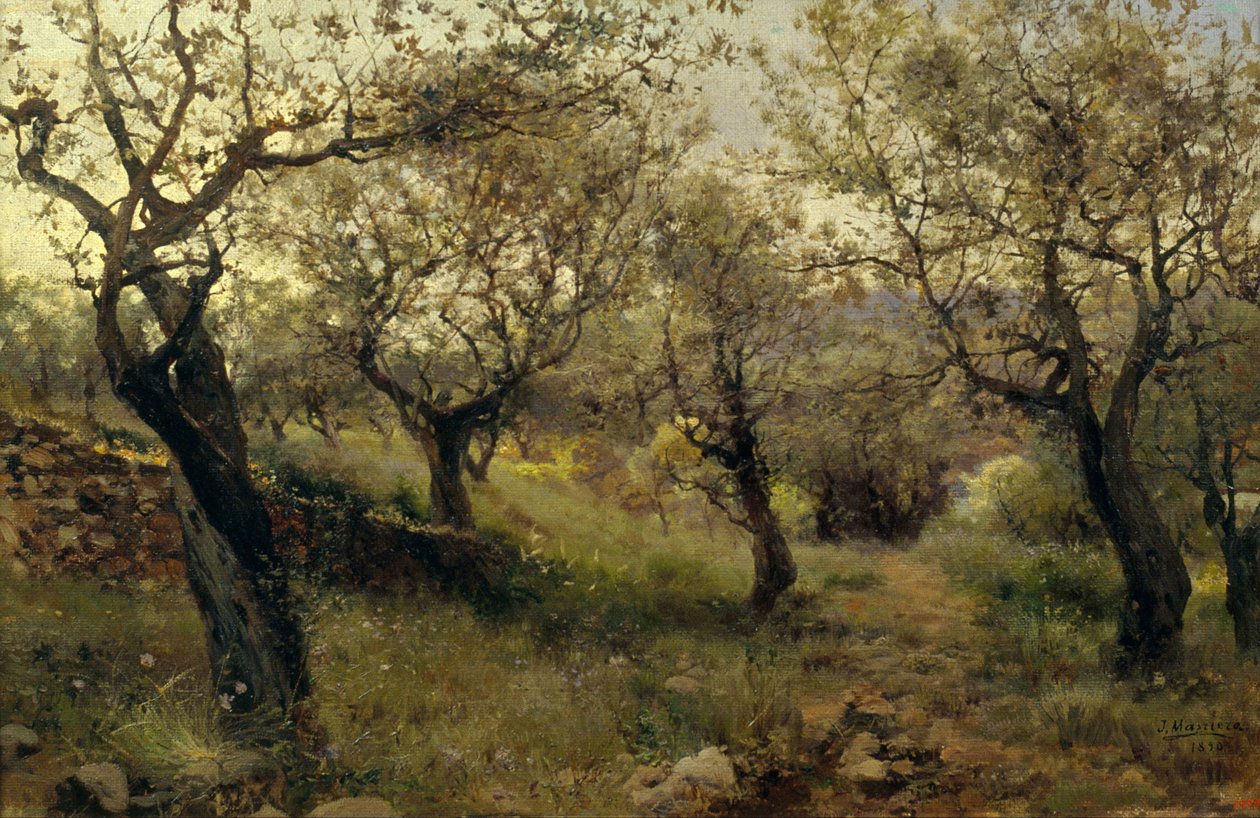 (detalle) de Josep Masriera