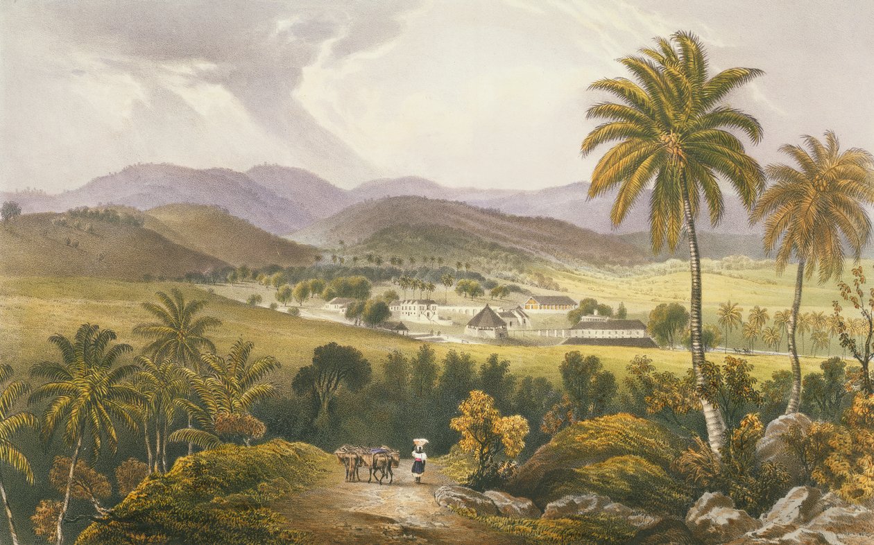 Finca de retiro, St. James