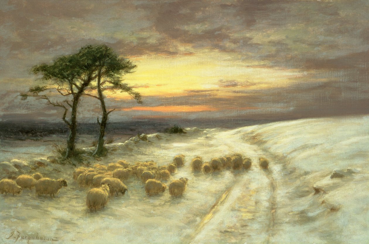 Ovejas en la Nieve de Joseph Farquharson