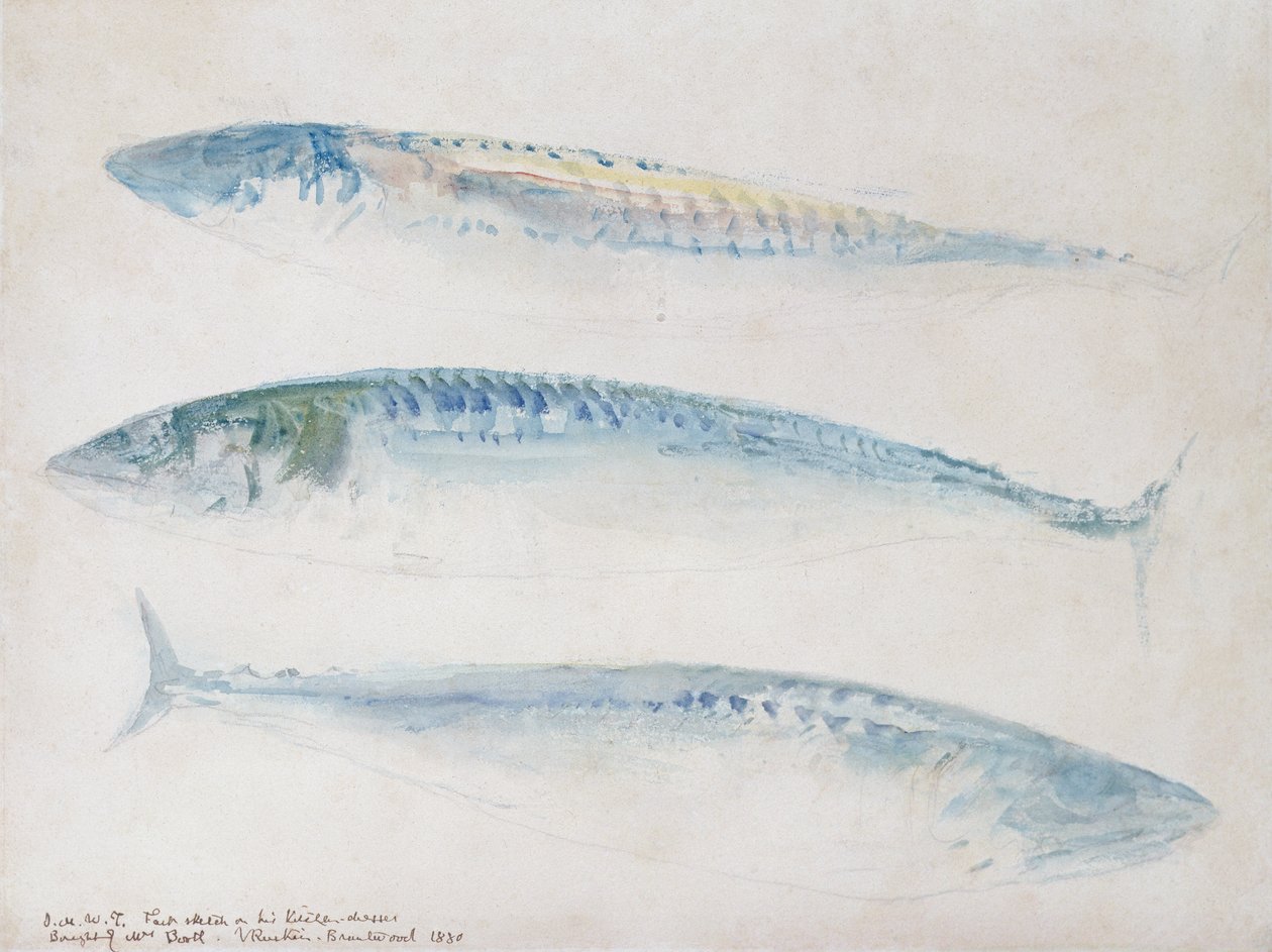 Boceto de tres caballas de Joseph Mallord William Turner