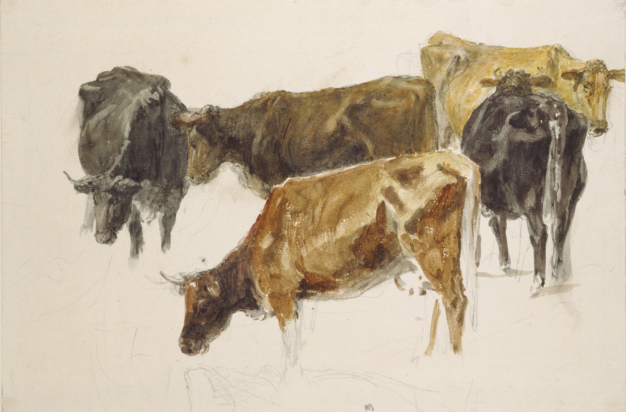 Estudio de un grupo de vacas, c. 1801 de Joseph Mallord William Turner