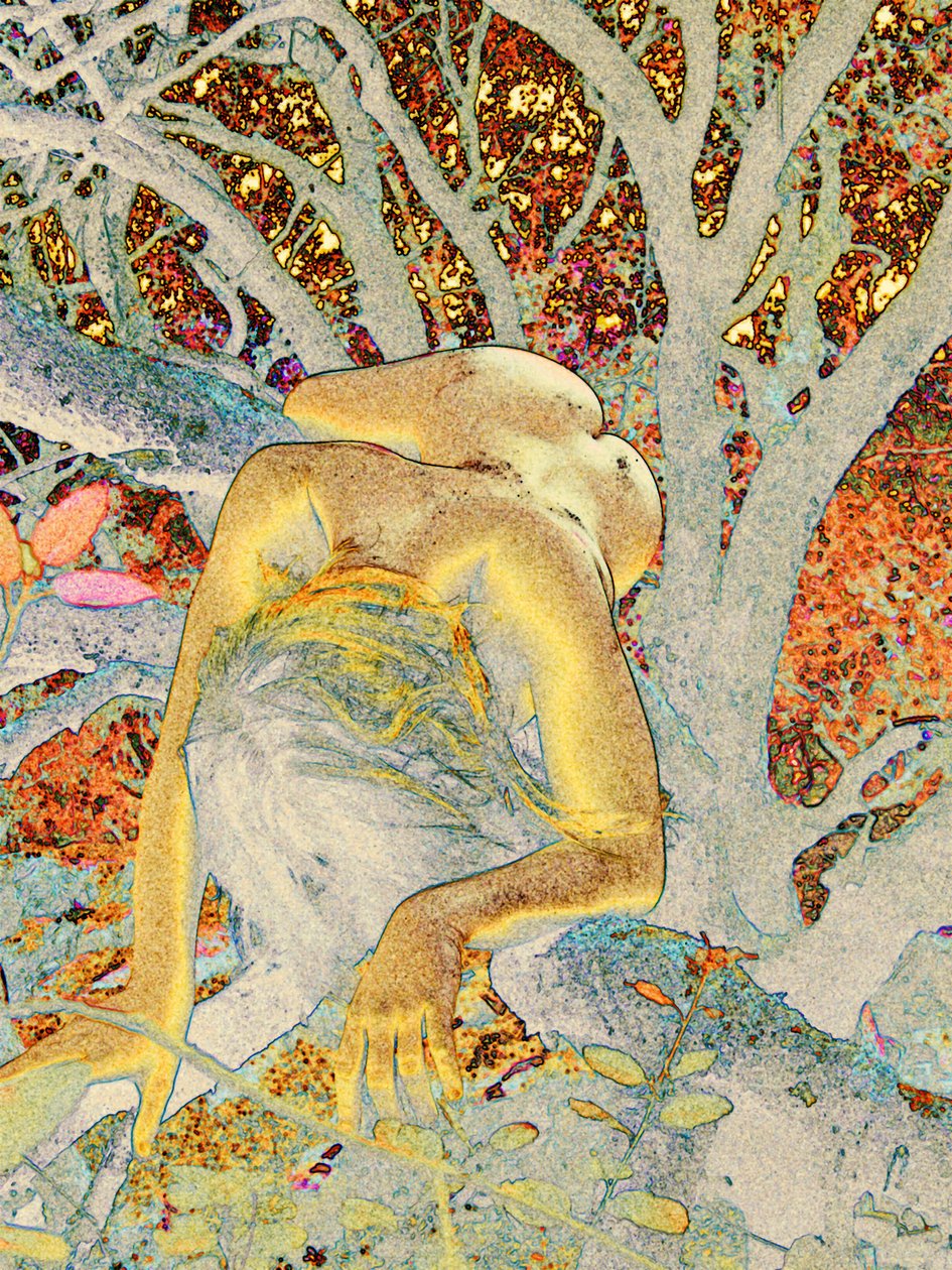 Árbol de Joseph Angilella Auquier