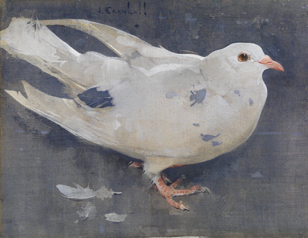 La paloma (gouache sobre lino) de Joseph Crawhall