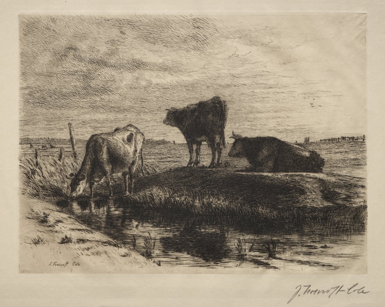 Las tres vacas de Joseph Foxcroft Cole